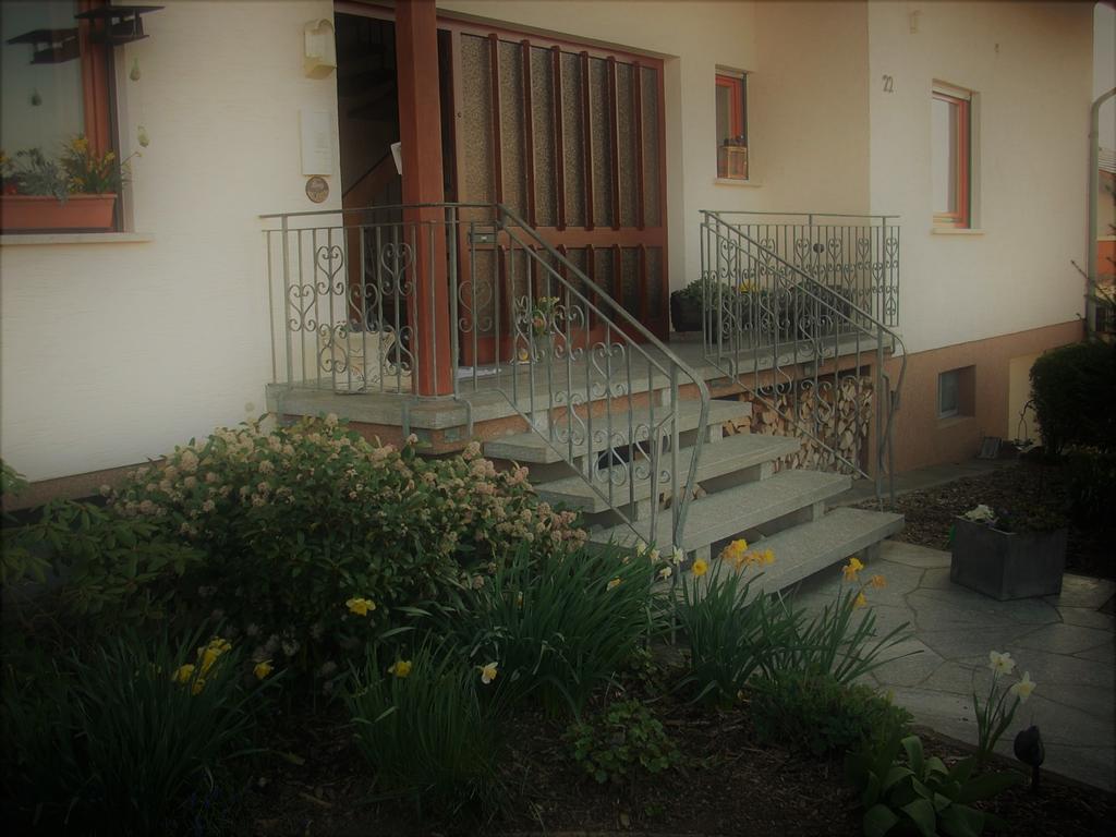 Ferienwohnung Lahntal/Taunus Huttenberg Exterior photo